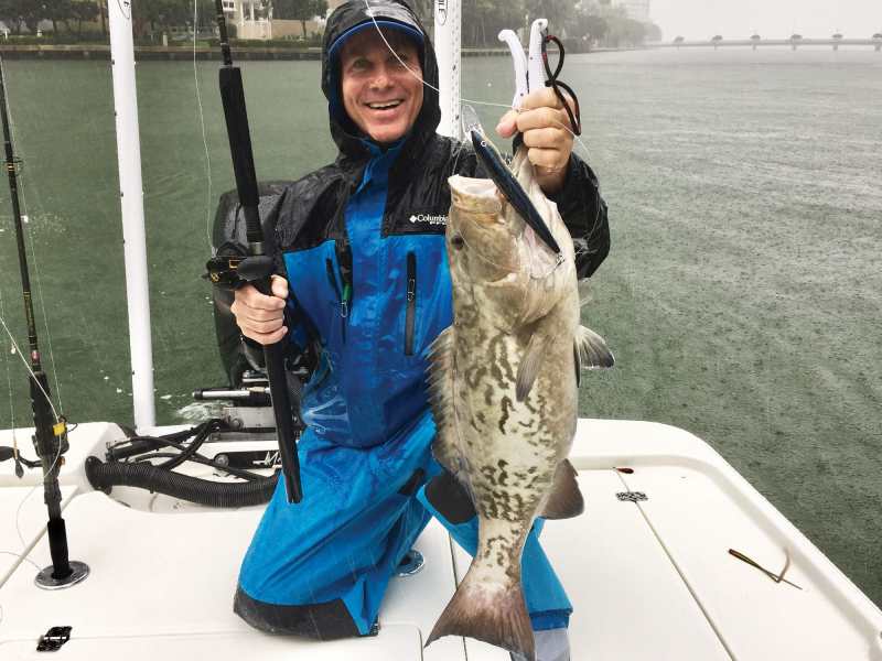 Grouper caught with the help of side-scan sonar