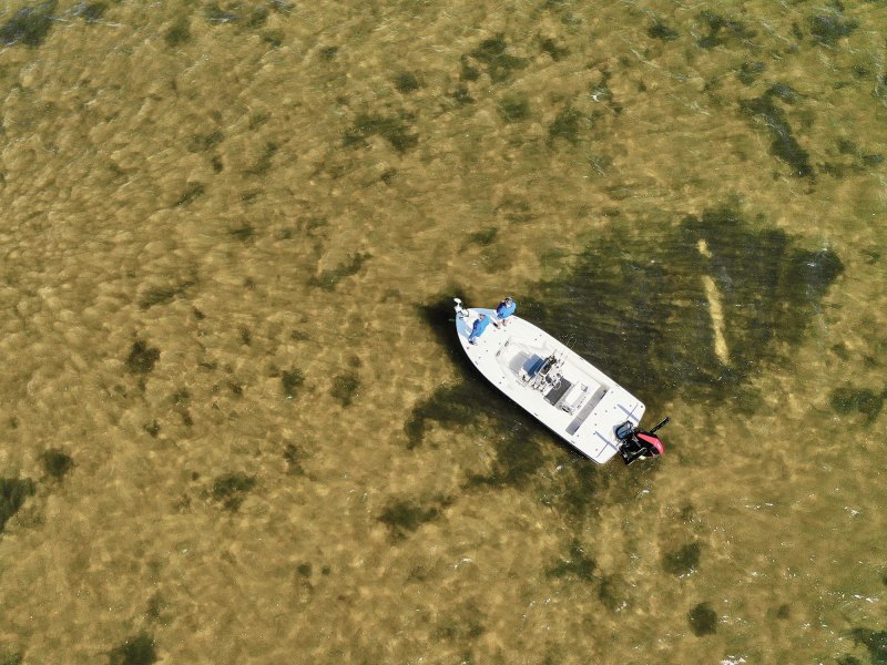 Trolling motor with a live sonar transducer