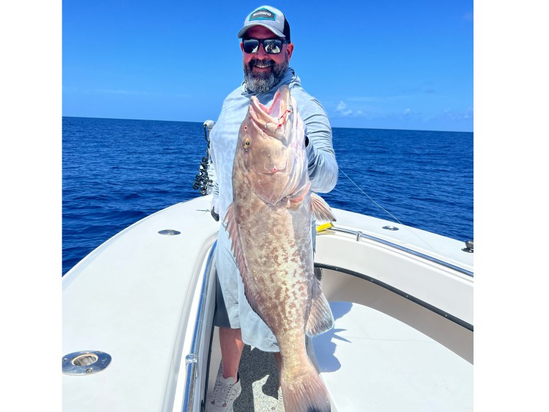 record gag grouper