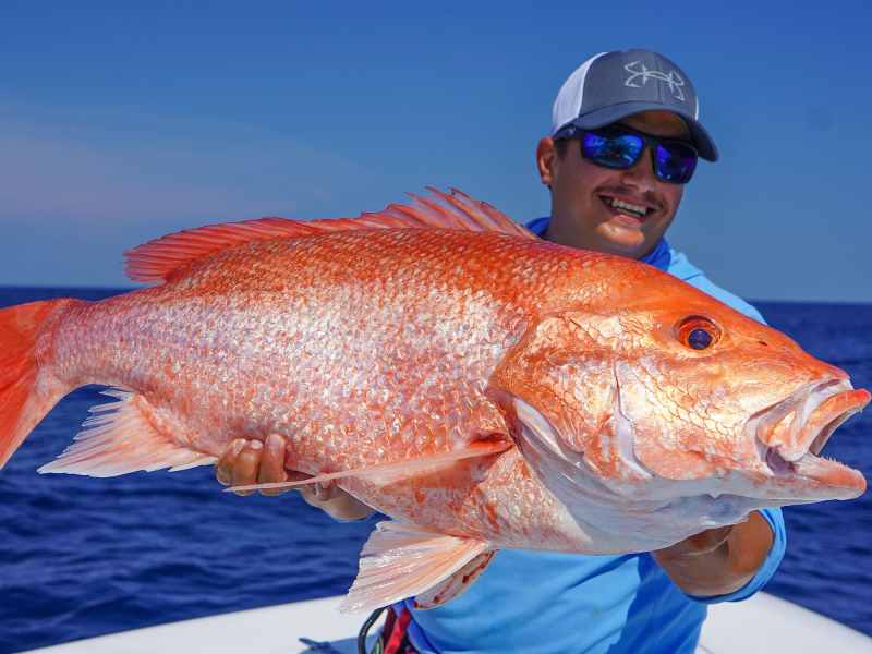 Angler with large red snapper