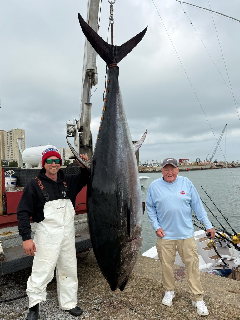 Virginia state record bluefin tuna.