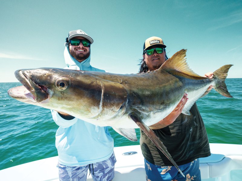 SWS126-VaBeach-4 Large cobia caught off Virginia Beach