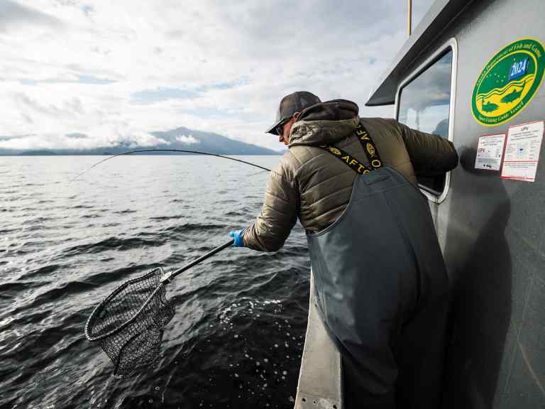 SWS226-Landing-Gear-1 Angler netting a fish