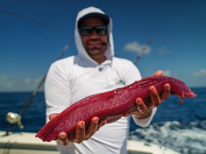 Fresh fish fillet