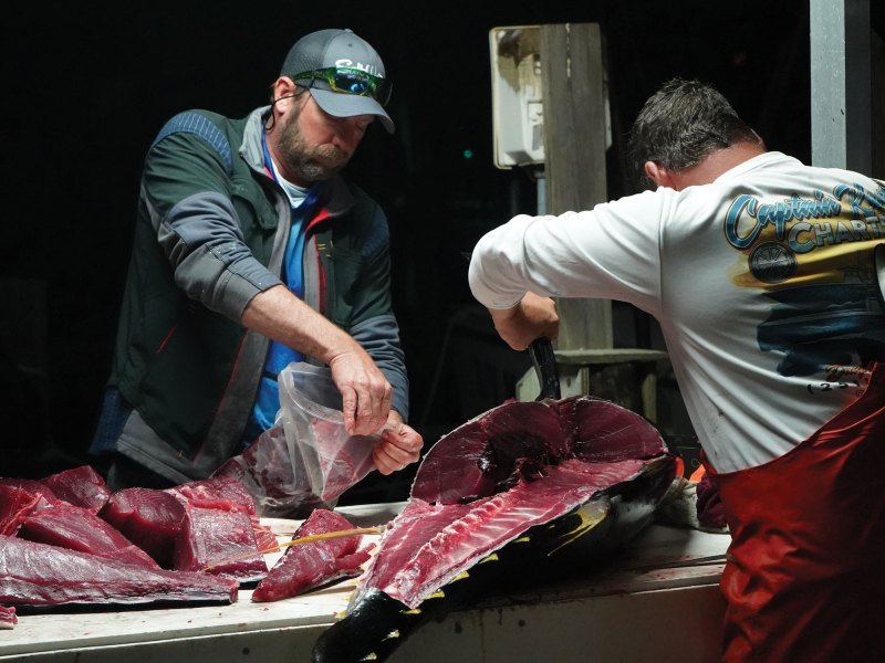 Cleaning a large tuna