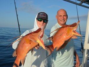 SWS426-Hogfish-2 Two hogfish on the boat